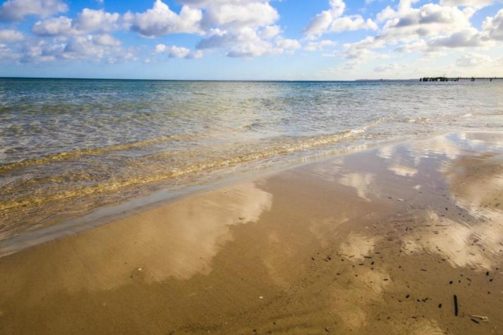 Ferienwohnung Strandvilla Augustusbad 14 ชาร์บอยท์ซ ภายนอก รูปภาพ